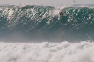 Une baleine offre un joli spectacle à des surfeurs (Hawaï)