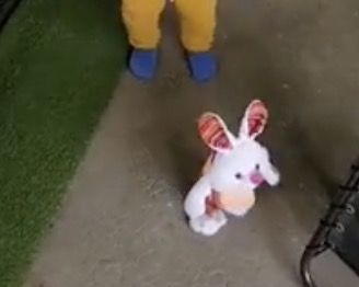 Un lapin mécanique montre à un bébé qui est le chef