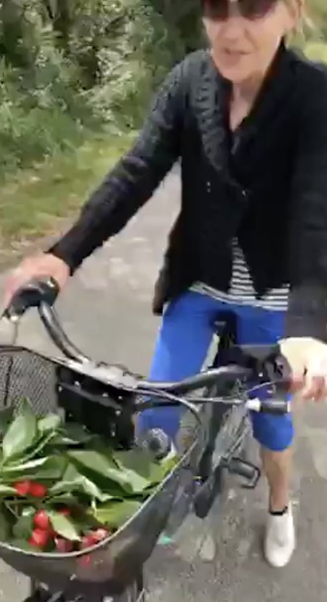 Un horticulteur prend des voleurs de cerises en flagrant délit (Pont-de-l’Isère)