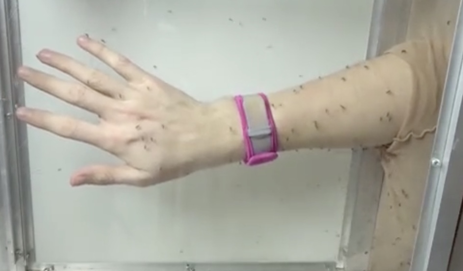 La preuve que les bracelets anti-moustiques ne servent Ă rien