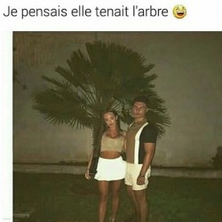 Je pensais elle tenait l'arbre  