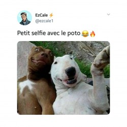 Selfie entre potes