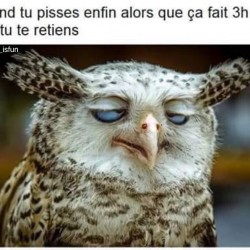  Quand ça fait 3h que tu te retiens