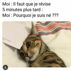 II faut que je révise