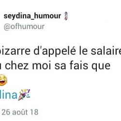  C'est bizarre d'appelé le salaire un revenu