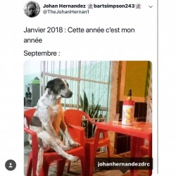 Cette année c'est mon année