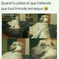 Quand tu pètes et que t'attends que tout le monde remarque