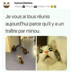 Je vous ai tous réunis aujourd'hui