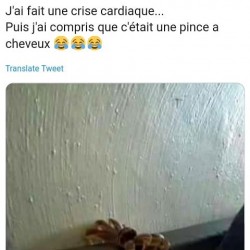 J'ai fait une crise cardiaque... Puis j'ai compris...