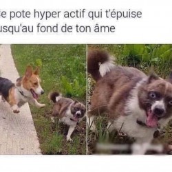 On a tous un pote hyper actif