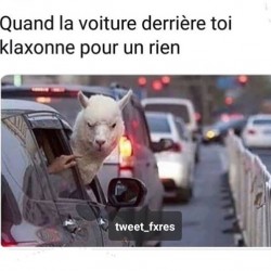 Quand la voiture derrière toi klaxonne pour rien