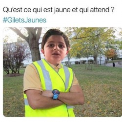 Qu'est ce qui est jaune et qui attend ?