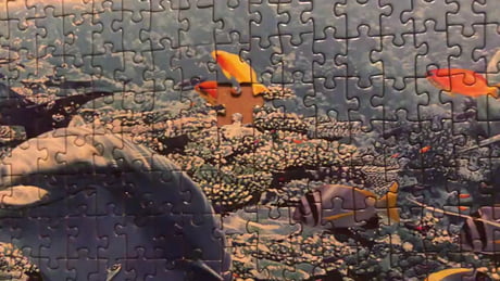 Un puzzle de 24000 pièces