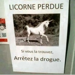 Licorne perdue