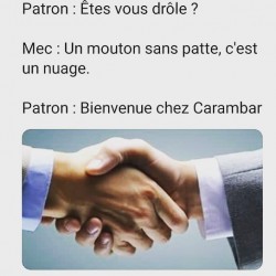 C'est quoi un mouton sans patte ?