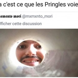 Ce que les Pringles voient