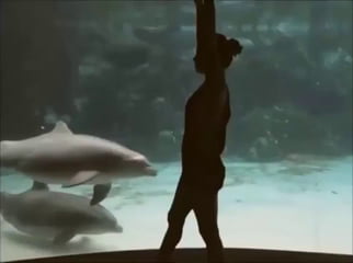 Une fille fait rire un dauphin