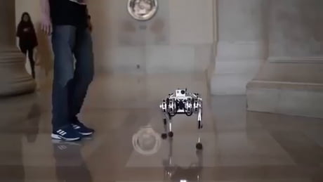 Ce robot est de plus en plus flippant...