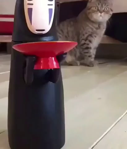 Un chat voit un robot pour la première fois