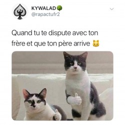 Tu sais que la situation pourrait empirer