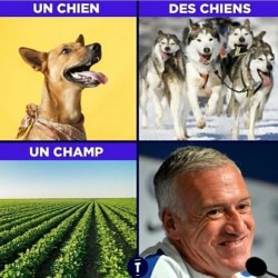 On aurait pu mettre Didier comme chien