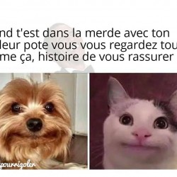 Ce moment oĂą le cerveau fonctionne plus
