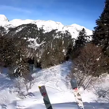 Ski + Parachute