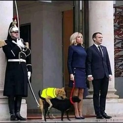 Mouais c'est plutĂ´t l'inverse malheureusement