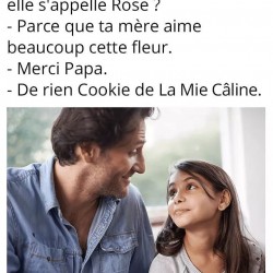 C'est vrai qu'ils sont bons