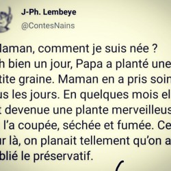 Maman, comment je suis né ?