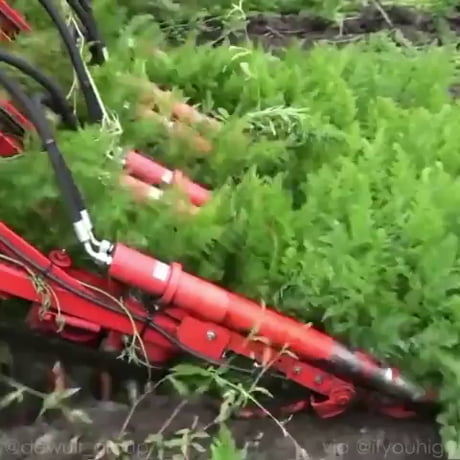 Machine à ramasser les carottes