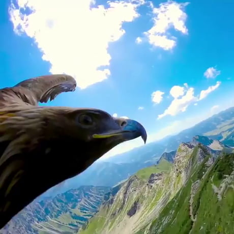 Les Alpes bavaroises vues par un aigle