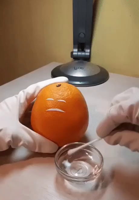 Chirurgie sur orange
