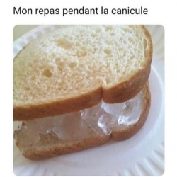 Que manger pendant la canicule