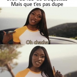 Quand ton chat veut te la faire Ă l'envers