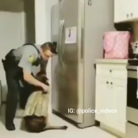 Un chien policier rentre du boulot