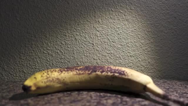 Toucher une banane avec une brosse à dents