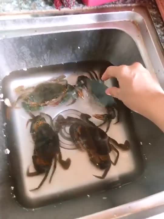 Une femme veut attraper un crabe dans un évier