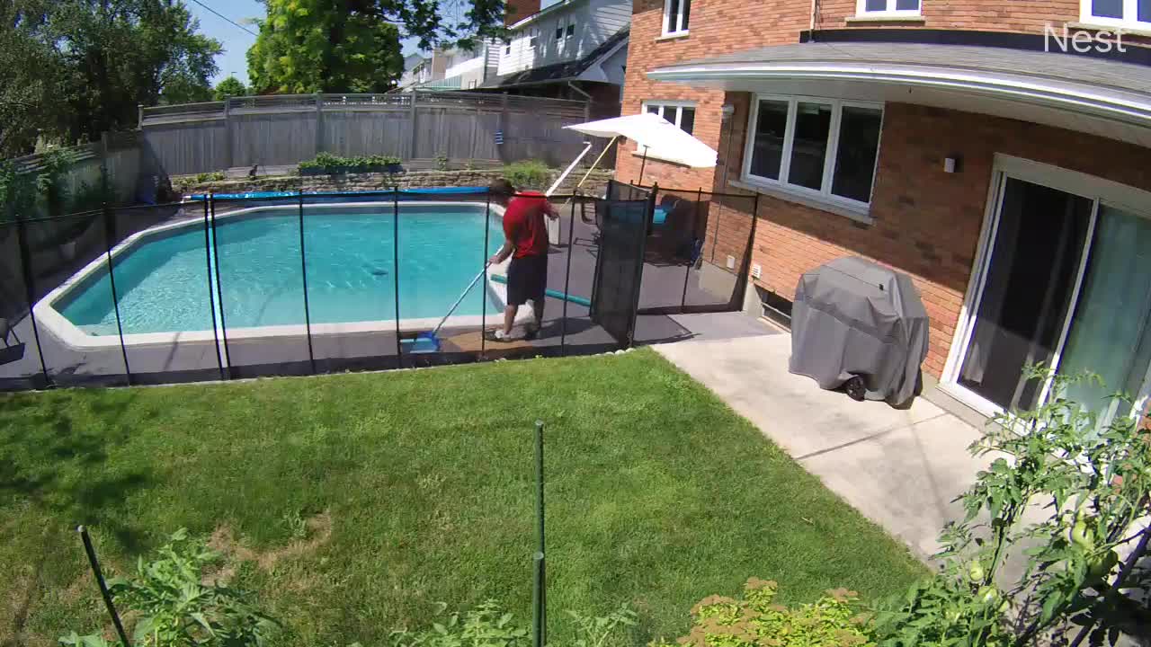 Un homme trouve un écureuil dans sa piscine
