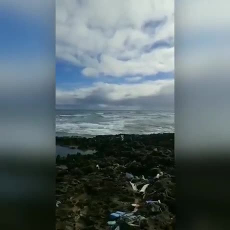 Des milliers de déchets sur les plages hawaiiennes