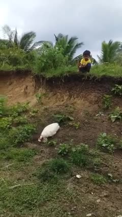 Un canard rapporte sa sandale à un enfant