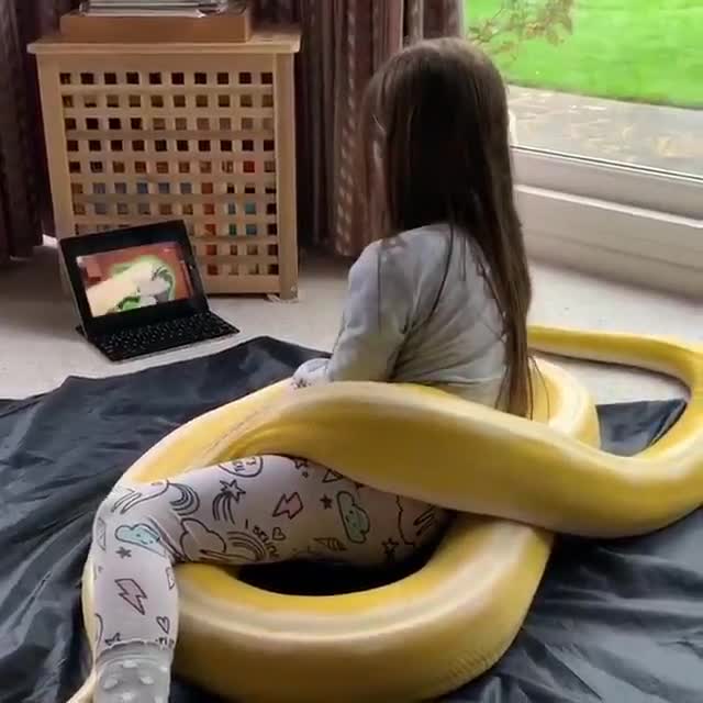 Une jeune fille joue avec un énorme serpent