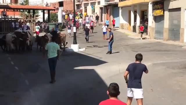 Courir à côté des taureaux