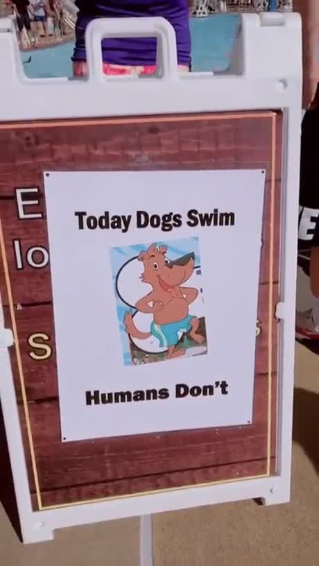 Aujourd'hui la piscine est réservée aux chiens