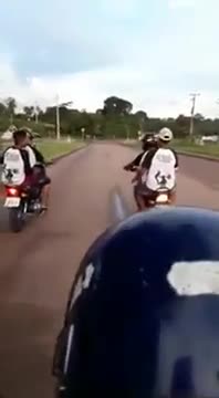 Ils font un wheelie en se tenant la main (Darwin Awards)