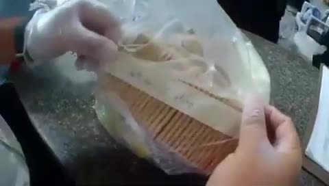 Des matons ont une drôle de surprise en ouvrant des biscuits lors d'une fouille (Brésil)