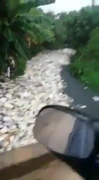 Une rivière de déchets en République Dominicaine