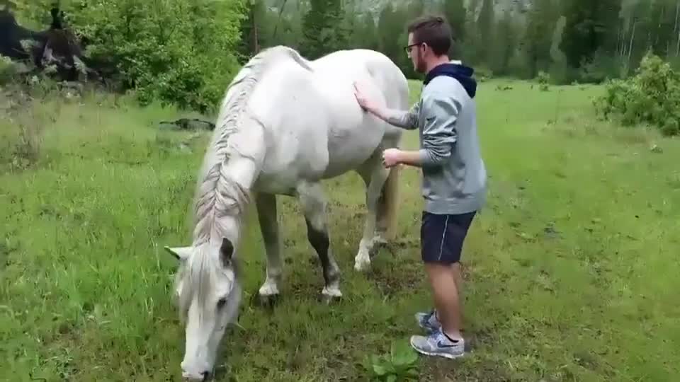 Moi quand je drague en boite