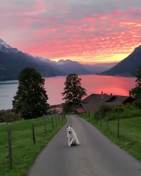 Le lac de Brienz (Suisse)