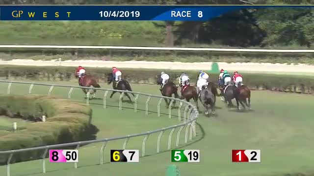 Un jockey disparait pendant une course